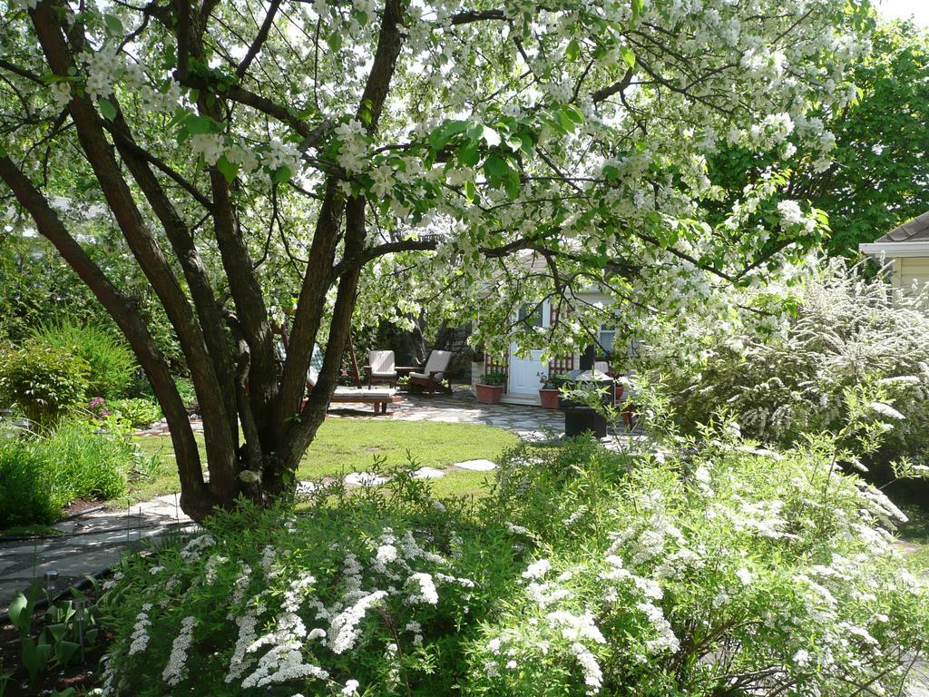 Bed and Breakfast La Maison Dufour & Bouchard La Malbaie Exteriér fotografie